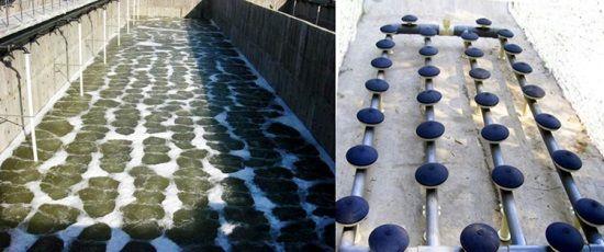 Disc Diffusers price