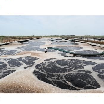 Slaughterhouse Wastewater Treatment